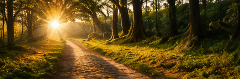 Pathway to Purpose