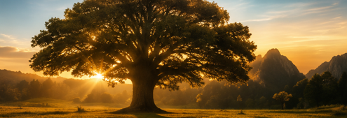 Path to Legacy Living